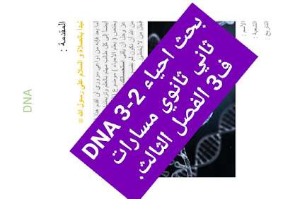 بحث احياء 2-3 DNA ثاني ثانوي مسارات ف3 الفصل الثالث 1445