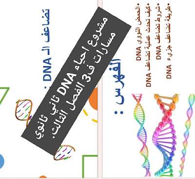 مشروع احياء DNA ثاني ثانوي مسارات ف3 الفصل الثالث 1445