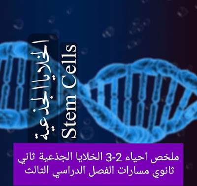 ملخص احياء 2-3 الخلايا الجذعية ثاني ثانوي مسارات ف3 1445